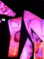 Swarovski Kristallwelten