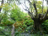 Hellergarten Gardone