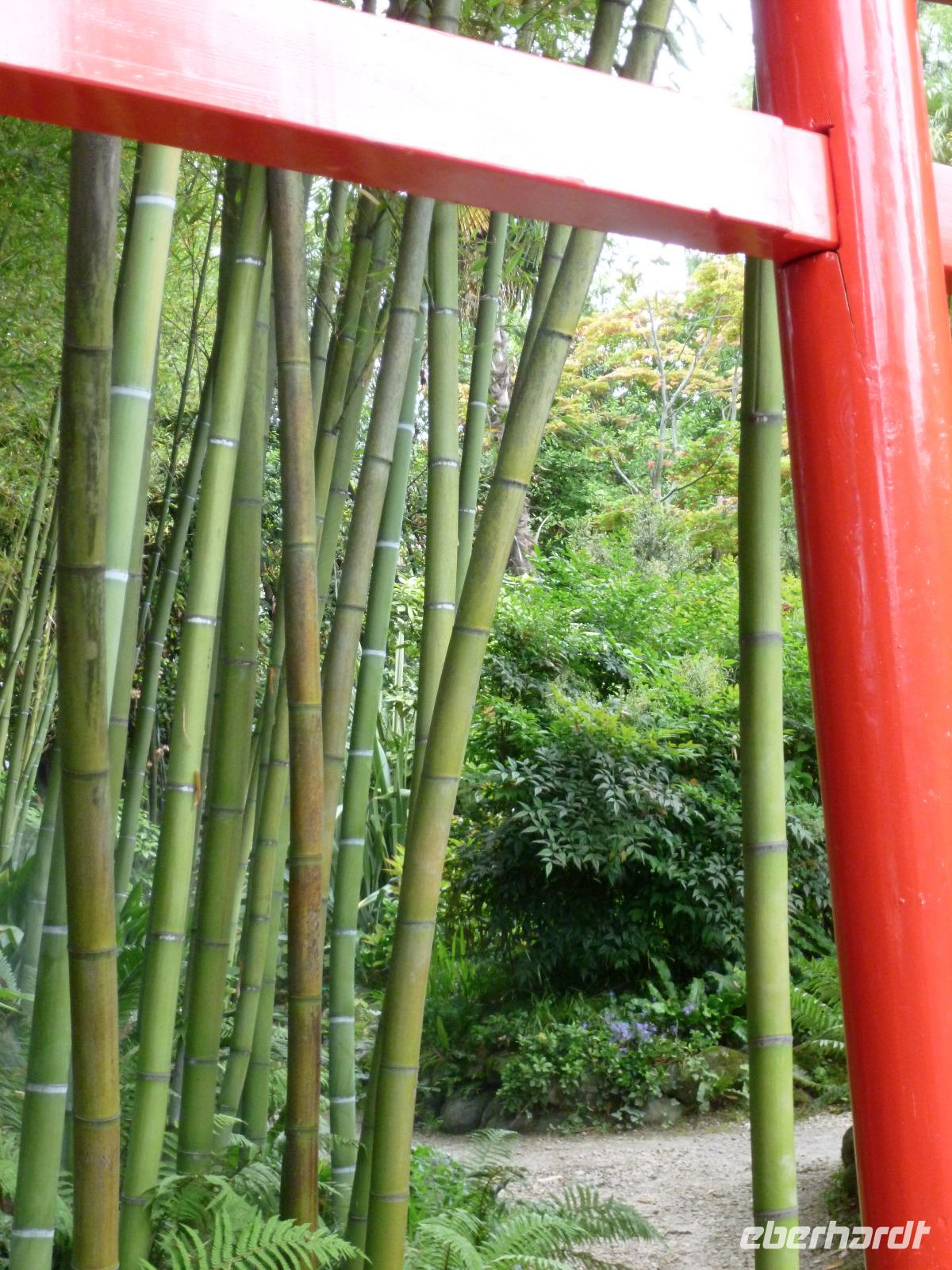 Hellergarten Gardone