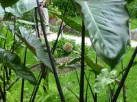 Hellergarten Gardone