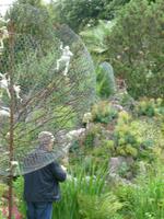 Hellergarten Gardone