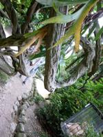 Hellergarten Gardone