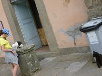 Villa Lante, Bagnaia