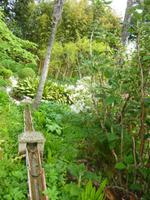 Hellergarten Gardone Riviera