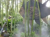 Hellergarten Gardone Riviera