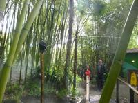 Hellergarten Gardone Riviera