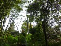 Hellergarten Gardone Riviera