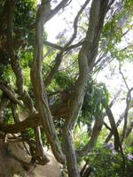 Hellergarten Gardone Riviera