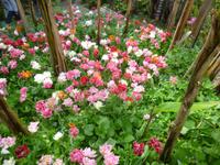 Hellergarten Gardone Riviera