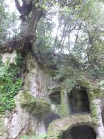 Vatikanischer Garten Castel Gandolfo