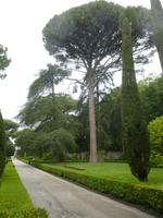 Vatikanischer Garten Castel Gandolfo