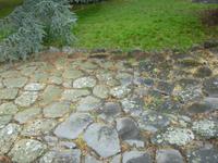 Vatikanischer Garten Castel Gandolfo