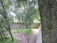 Villa Lante, Bagnaia