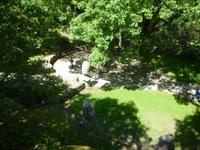 Sacro Bosco, Bomarzo