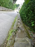 d'Estegarten, Tivoli