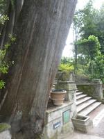 d'Estegarten, Tivoli