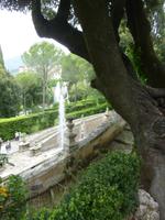 d'Estegarten, Tivoli