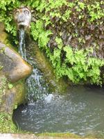 d'Estegarten, Tivoli