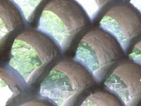 d'Estegarten, Tivoli