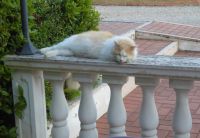 Tag 1 13.05.2022 Corte Casteletto