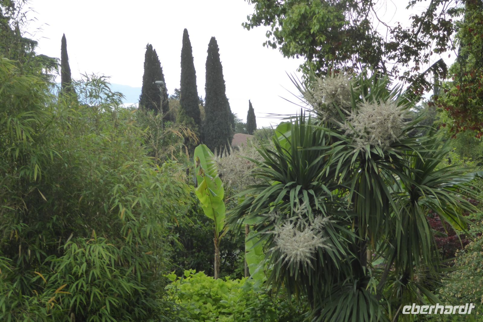 Tag 2 14.05.2022 Heller Garten, Gardone  