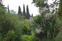 Tag 2 14.05.2022 Heller Garten, Gardone  