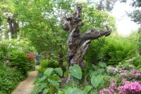 Tag 2 14.05.2022 Heller Garten, Gardone  