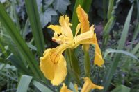 Tag 2 14.05.2022 Heller Garten, Gardone  