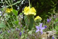 Tag 2 14.05.2022 Heller Garten, Gardone  