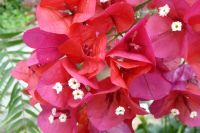 Tag 2 14.05.2022 Heller Garten, Gardone  