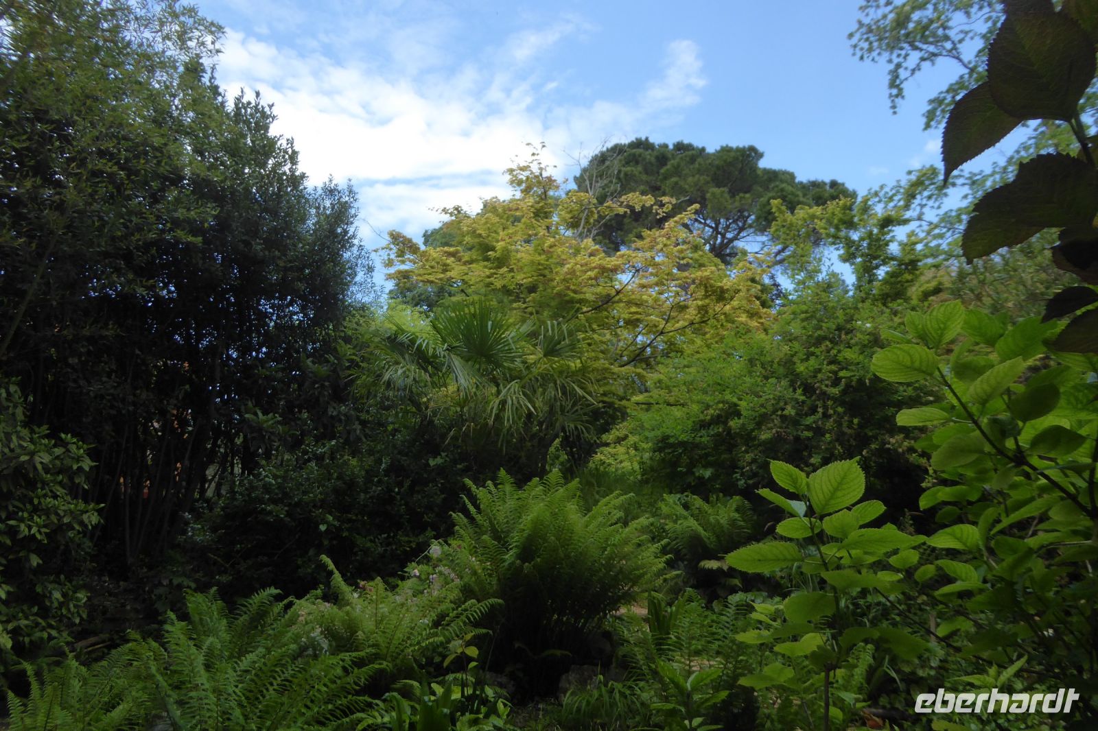 Tag 2 14.05.2022 Heller Garten, Gardone 