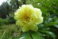 Tag 2 14.05.2022 Heller Garten, Gardone  