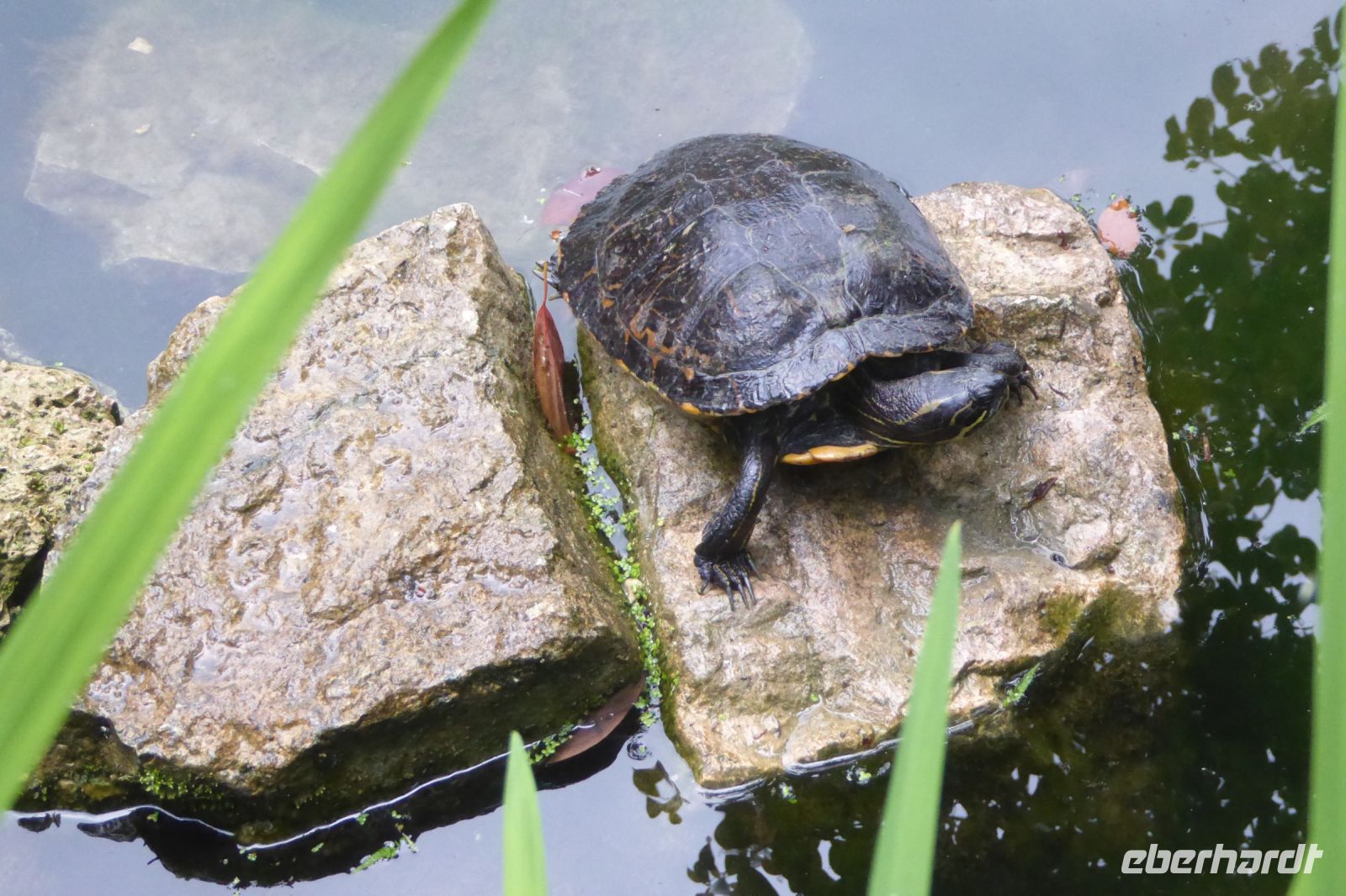 Tag 2 14.05.2022 Heller Garten, Gardone  