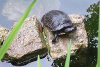 Tag 2 14.05.2022 Heller Garten, Gardone  