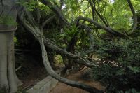 Tag 2 14.05.2022 Heller Garten, Gardone  