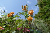 Tag 2 14.05.2022 Heller Garten, Gardone  