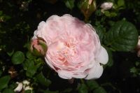 Tag 2 14.05.2022 Heller Garten, Gardone