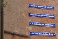 Tag 3 15.05.2022 Spoerri Garten 