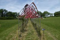 Tag 3 15.05.2022 Spoerri Garten 