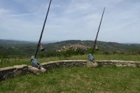 Tag 3 15.05.2022 Spoerri Garten  