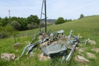 Tag 3 15.05.2022 Spoerri Garten  