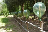 Tag 3 15.05.2022 Spoerri Garten  