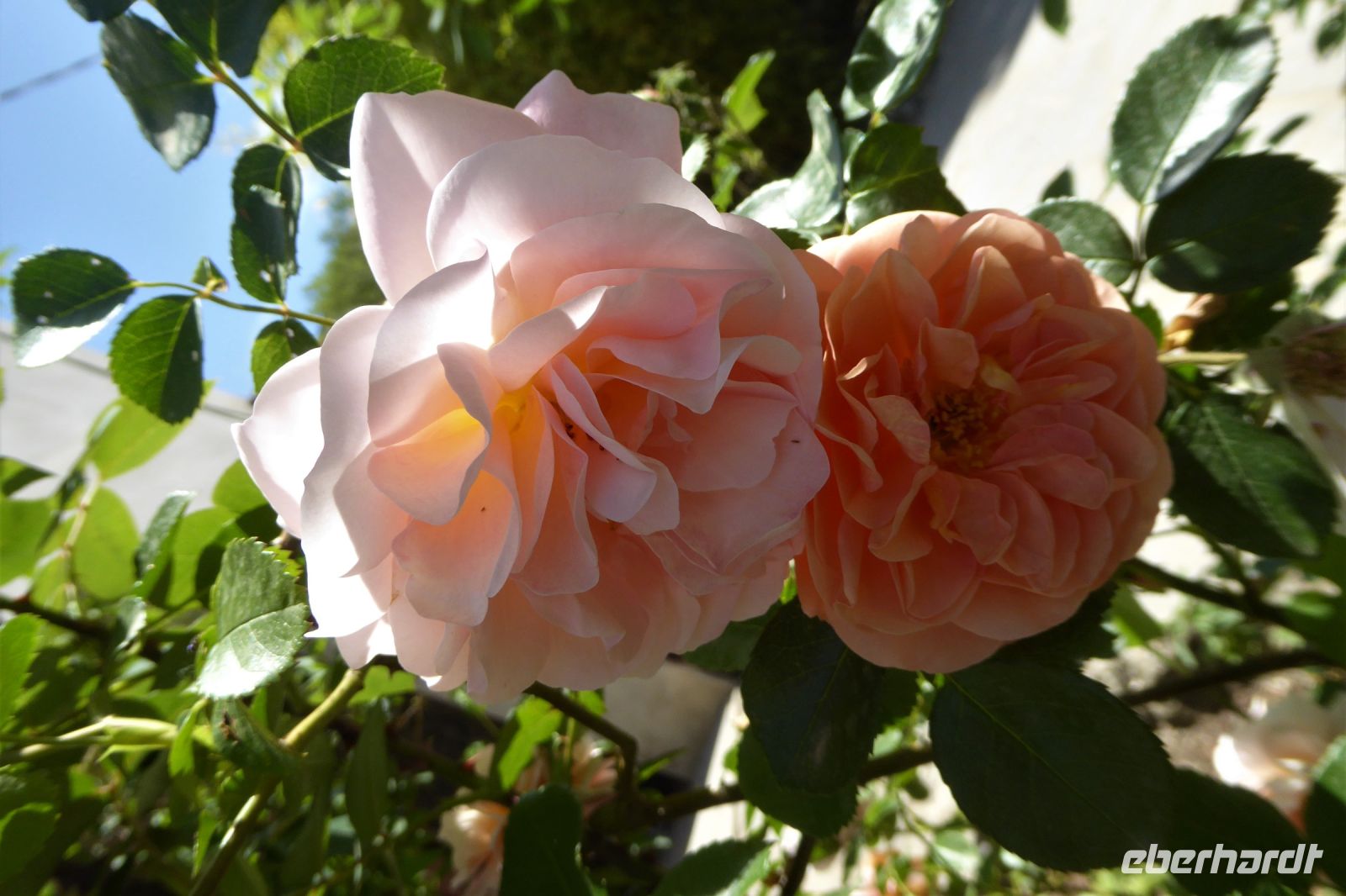 Tag 5 17.05.2022 Parco dei Mostri, Bomarzo 