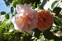 Tag 5 17.05.2022 Parco dei Mostri, Bomarzo 