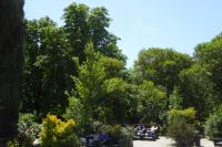 Tag 5 17.05.2022 Parco dei Mostri, Bomarzo 