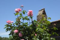 Tag 5 17.05.2022 Parco dei Mostri, Bomarzo 