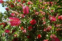 Tag 6 18.05.2022 Ninfagarten 