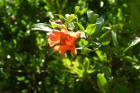 Tag 6 18.05.2022 Ninfagarten 