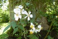 Tag 6 18.05.2022 Ninfagarten 