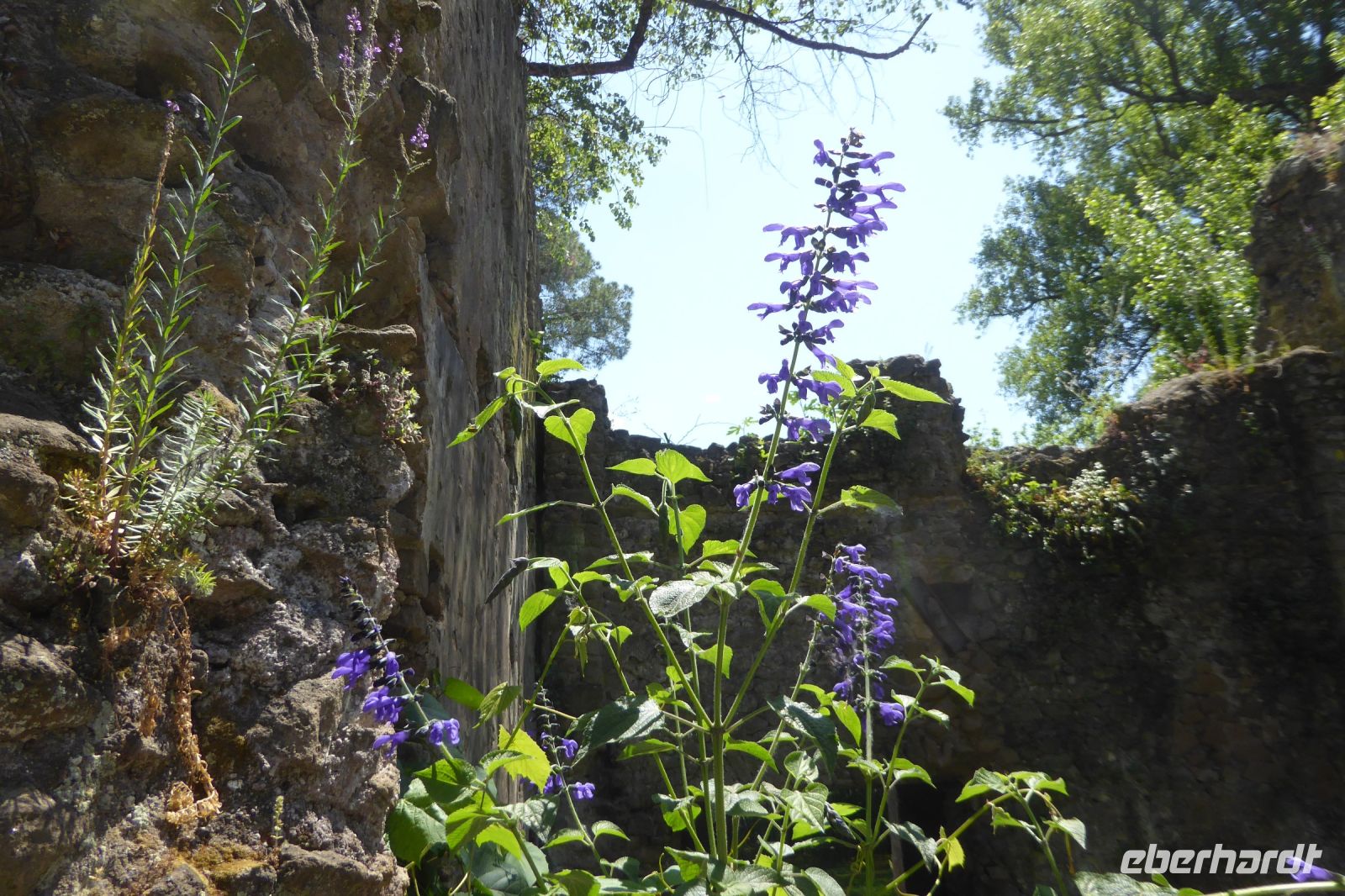 Tag 6 18.05.2022 Ninfagarten 